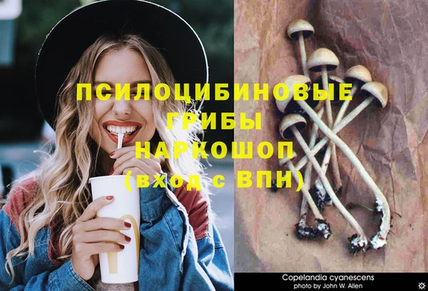 mix Карпинск