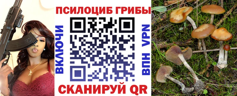 Галлюциногенные грибы Cubensis  Купить закладки  Гусь-Хрустальный 